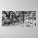 Search for black and white landscape posters Park