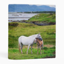 Search for horse photo binders Pony