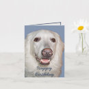 Search for dog birthday cards Happy