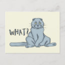 Search for cat meme postcards humor