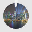 Search for singapore ornaments Architecture