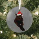 Search for gray cat ornaments White