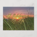 Search for funeral celebration of life postcards Sunset