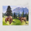 Search for buffalo postcards Woodland