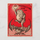 Search for weird postcards Vintage