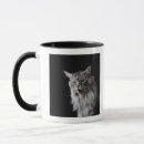 Search for maine coon cat mugs Cute