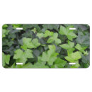 Search for plant license plates Leaves