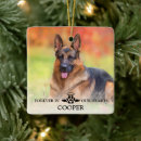 Search for dog with angel wings For pets