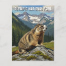 Search for olympic national park postcards Pacific northwest