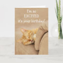 Search for orange cat birthday cards Funny