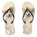 Search for corgi shoes Pembroke welsh corgi