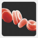 Search for biology stickers Cells