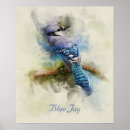 Search for bluebird drawing art Animal