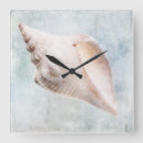 Search for seashell clocks Blue