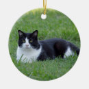 Search for tuxedo cat ornaments Feline