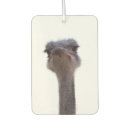 Search for cute car air fresheners Portrait