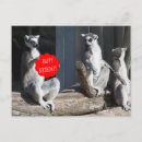 Search for weird birthday cards Funny