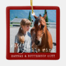 Search for horse ornaments red