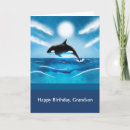Search for orca birthday cards Happy