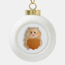 Search for hamster ornaments Cute