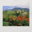 Search for crested butte postcards Superstock