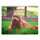 Search for goldendoodle gifts Dog