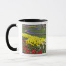 Search for tulip mugs Europe