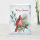 Search for cardinal christmas cards Red