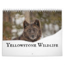 Search for idaho gifts Wildlife