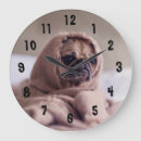 Search for pug clocks Dogs