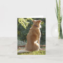 Search for golden retriever valentines day cards Photograph
