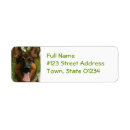 Search for german shepherd return address labels Puppy