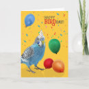 Search for bird lover birthday cards Parakeet