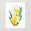 Search for vintage botanical postcards Flower