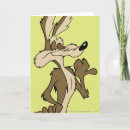 Search for wile e coyote Looney tunes coyote