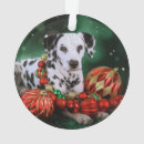 Search for dalmatian ornaments Santa