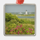 Search for marthas vineyard ornaments United states