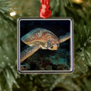 Search for sea turtle ornaments Sealife