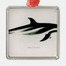 Search for dolphin ornaments Animal