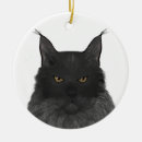 Search for maine coon cat ornaments Animals