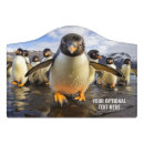 Search for cool door signs Cute