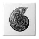 Search for fossil tiles Ammonite