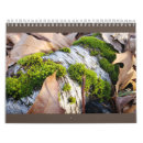 Search for forest calendars plants
