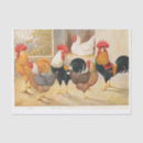 Search for chicken tissue paper Victorian