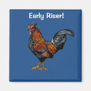 Search for rooster magnets Animal