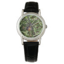 Search for venom watches Insect