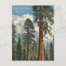 Search for giant postcards Sequoia national park