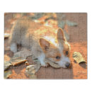 Search for corgi puzzles Puppy