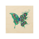 Search for peacock art Moth