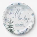 Search for winter wonderland plates Boy baby shower